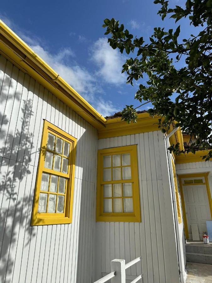 Owls Hostel Ildefonso OOporto Exterior foto