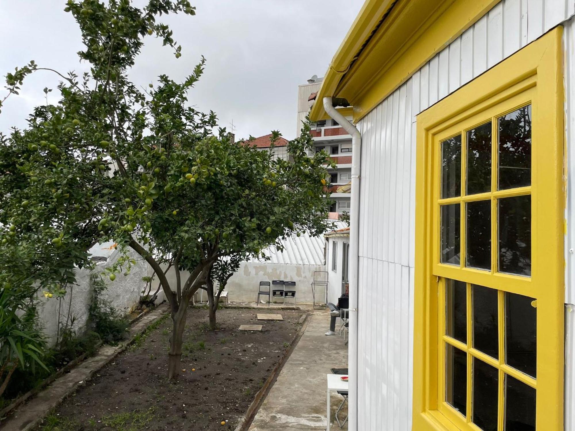 Owls Hostel Ildefonso OOporto Exterior foto
